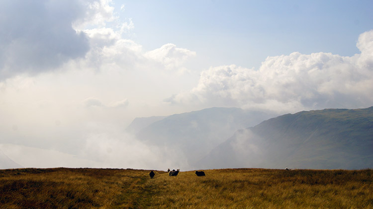 Grassy descent of Lingmell