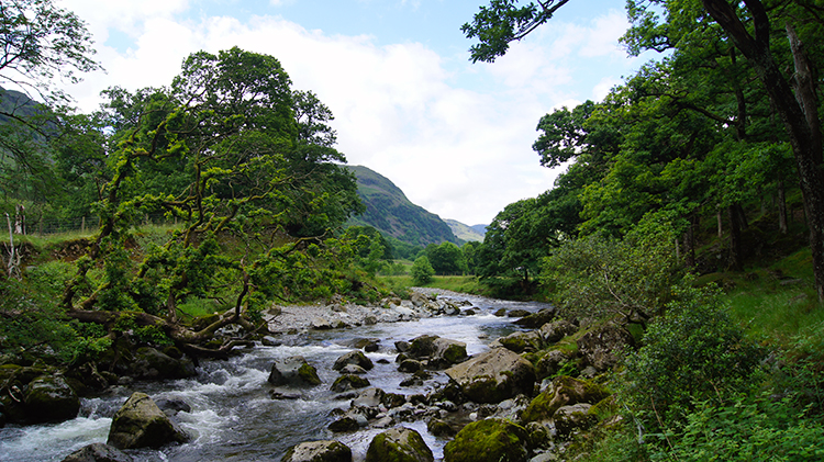 River Derwent near Seatoller