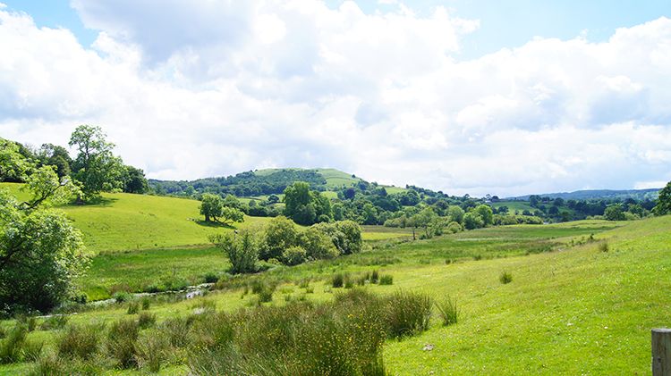 View from Low Wray Bridge