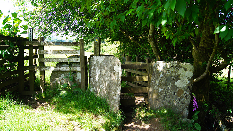 Pinch stile and gate to High Wray Road