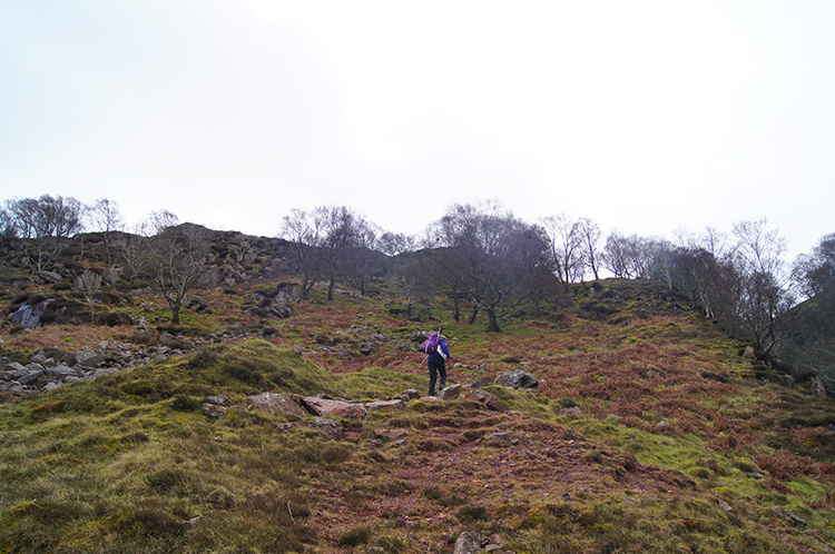 On the climb beside Scale Beck