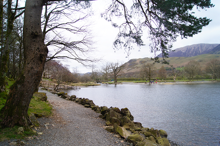 View back to Fleetwith Pike and Haystacks