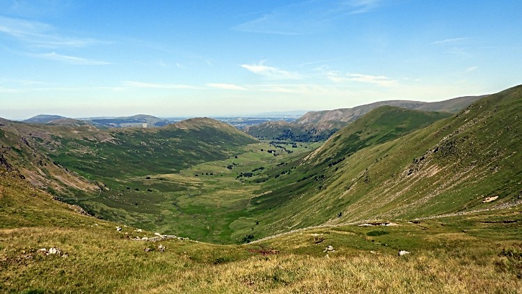 Martindale