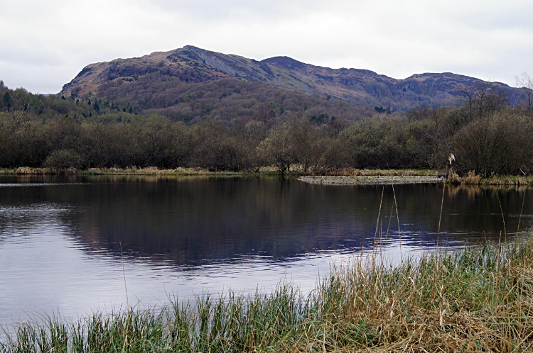 Furness Fells and Elter Water