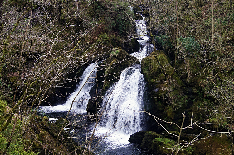 Colwith Force