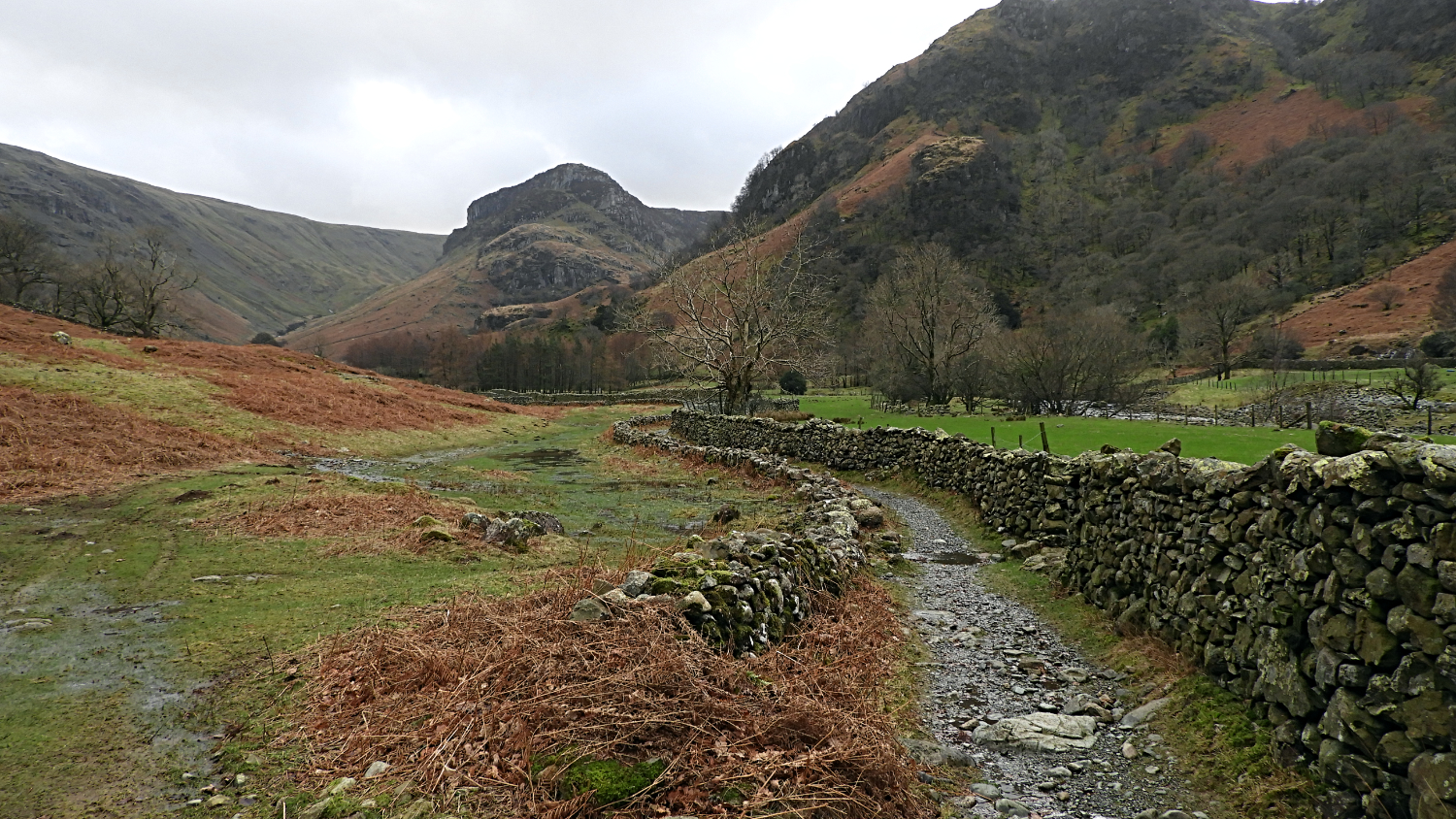 Climbing through the Stonethwaite valley