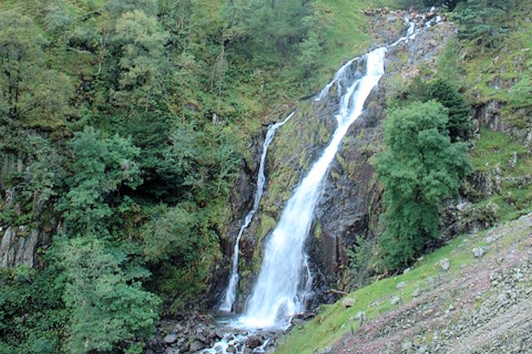 Taylor Gill Force