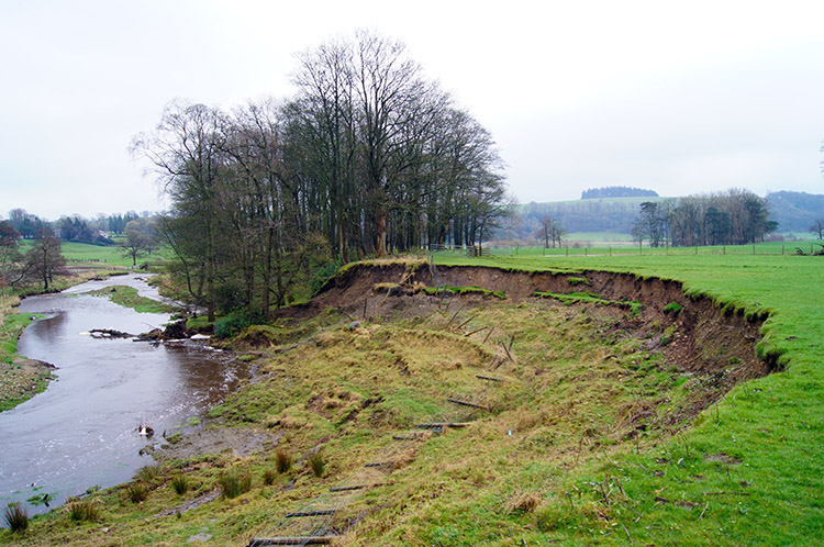 Field reduced in size by floods