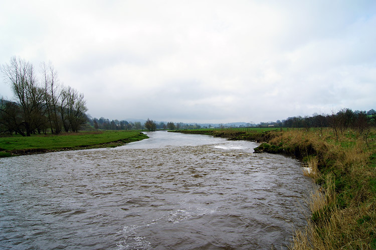 River Ribble near Sawley