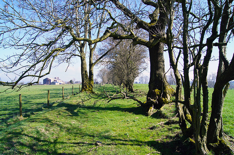 Ribble Way near Gisburn Cotes