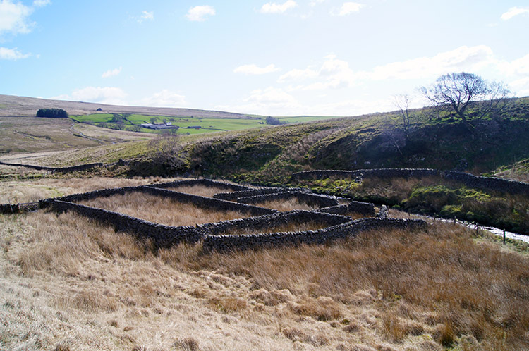 Sheepfold in the Forest of Bowland
