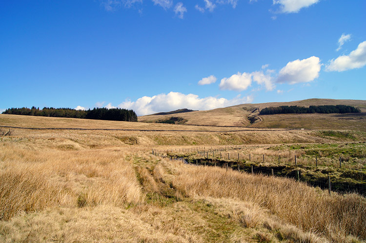 Hasgill Fell