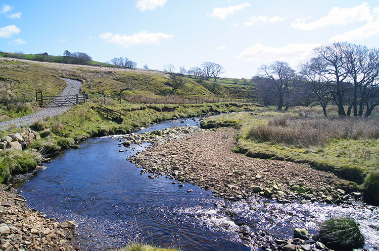 Kearsden Holes