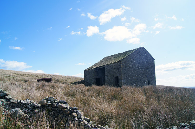 Stock shelter near Catlow