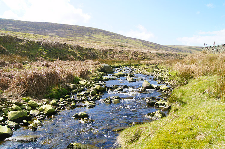 River Hodder at Cross of Greet Bridge