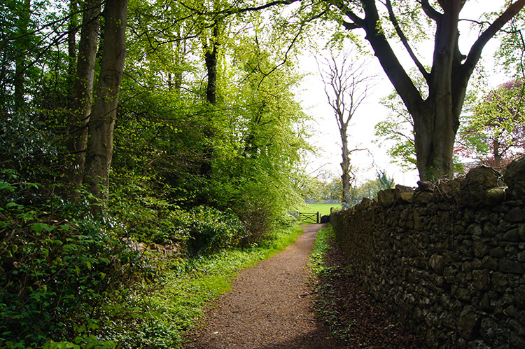 Path near Scout Wood