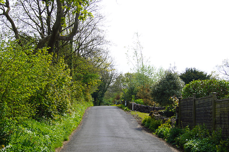 Following the road from Quaker's Stang