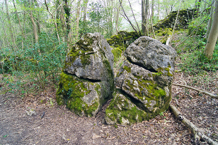 Marked boulders beside the woodland path