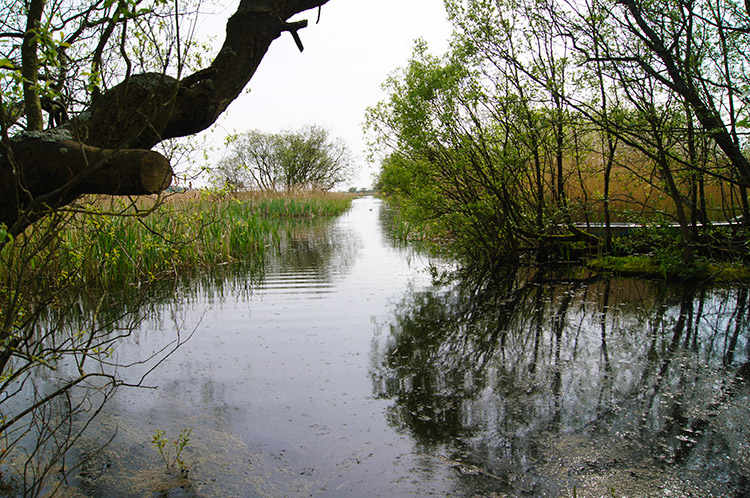 A haven for wildlife