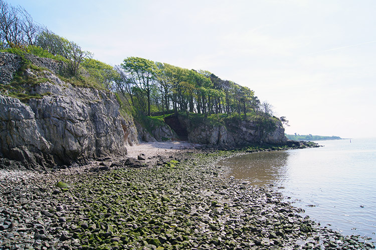 Red Rake, Silverdale