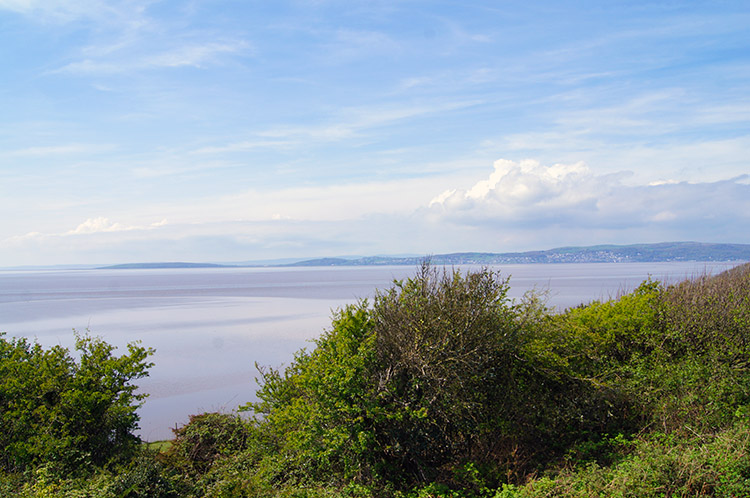 Walks in Lancashire - Silverdale, Warton Crag and Leighton Moss