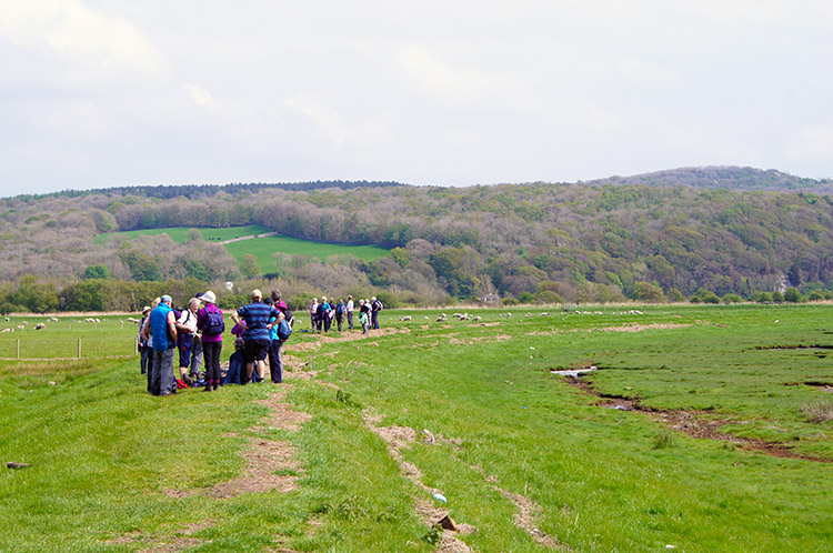 Ramblers in Silverdale