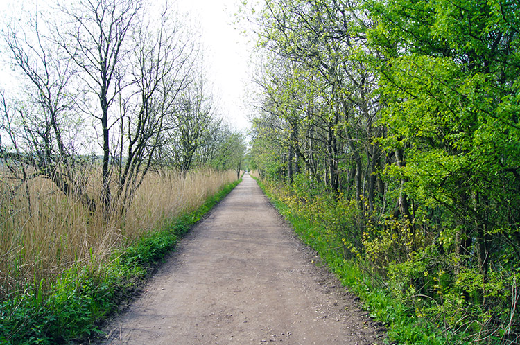 Leighton Moss Nature Reserve