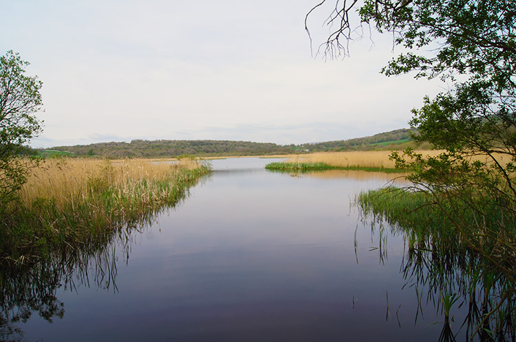 Open water on Leighton Moss