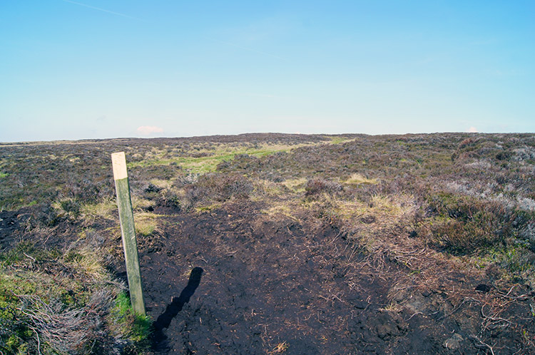 After Dunsop Head grass gives way and peat is exposed