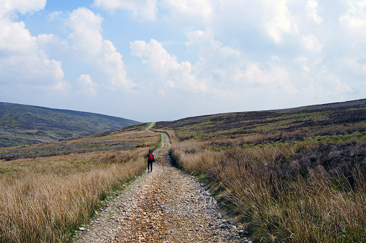 Clearly a Roman Road