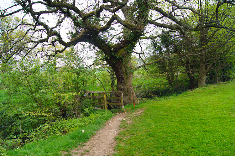 Path near Whalley Golf Club