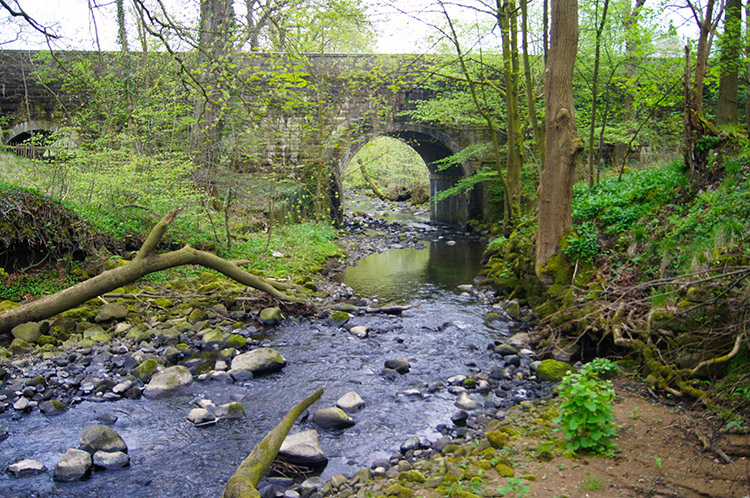 Sabden Brook flowing under Read Old Bridge