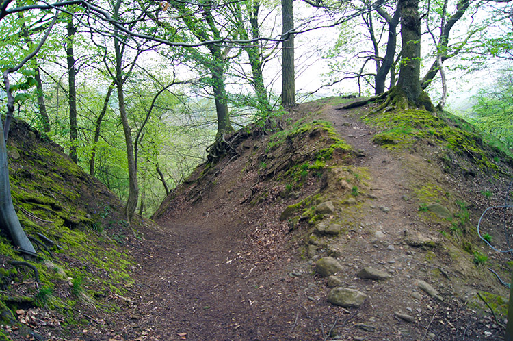 Raised bank near Dean Brook