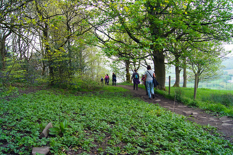 Ramblers at Whalley Banks