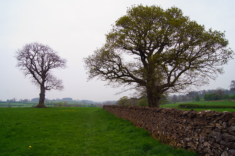 Lancashire countryside