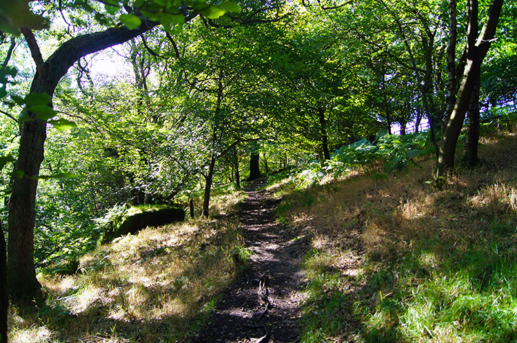 Through woodland above Turnhole Clough