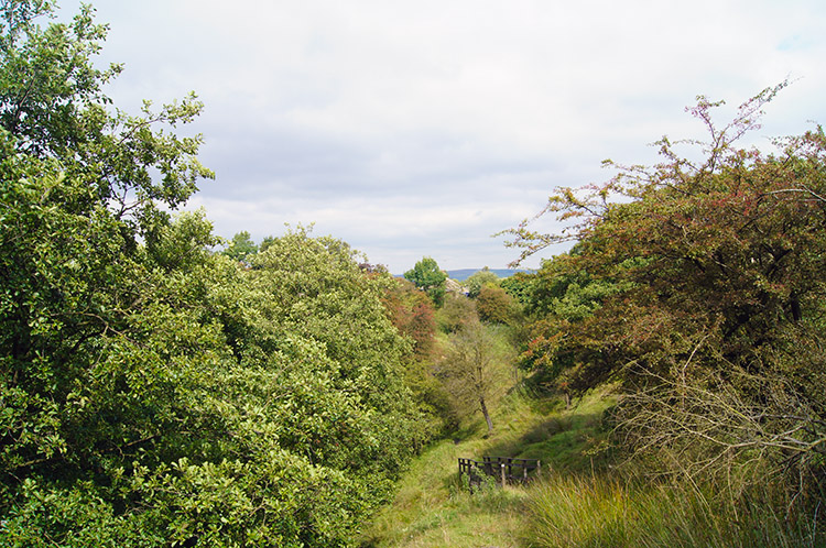 Path down to Trawden Brook