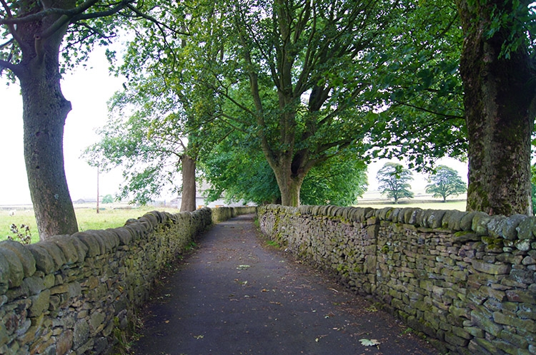 Lane at Higher Stunstead