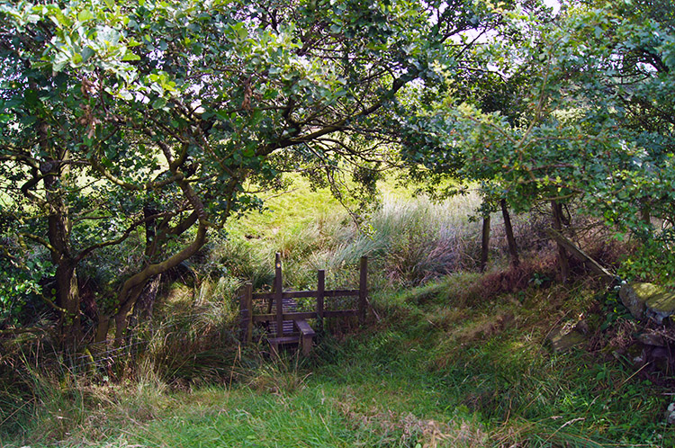 Footbridge near Bracken Hill