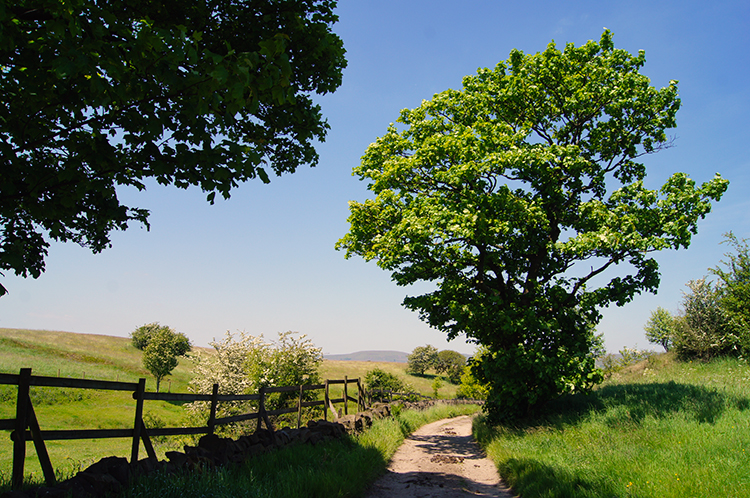 Lane near Turnough Hill