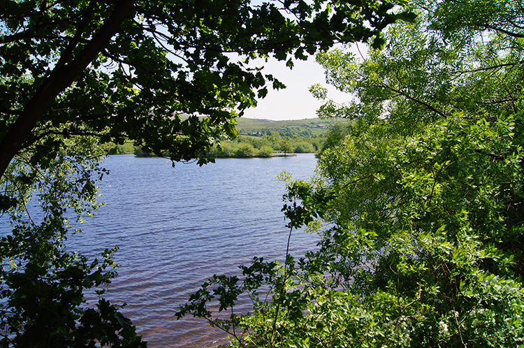 Hollingworth Nature Reserve