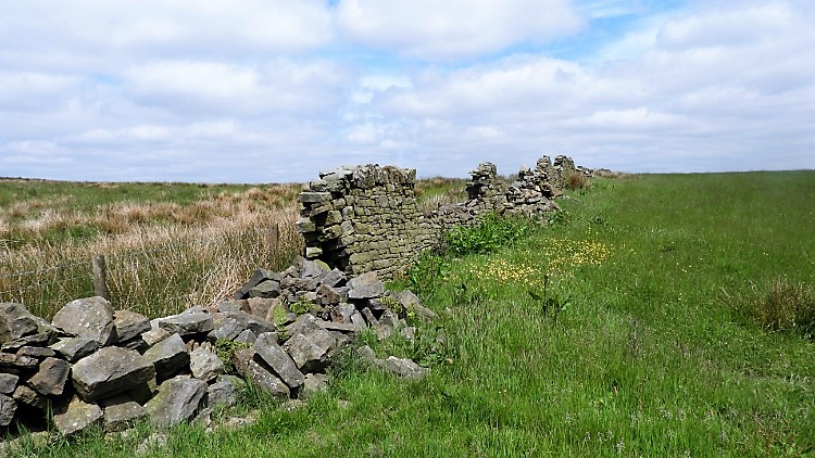 Collapsed drystone wall, Black Hill
