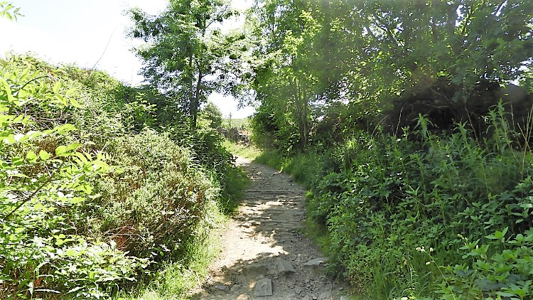 Lane from Darwen Moor to Sunnyhurst