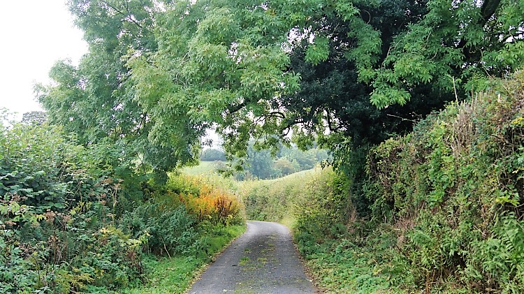 Hosticle Lane