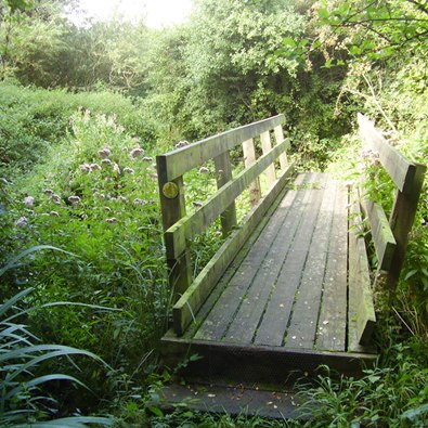 Footbridge near Shimpling