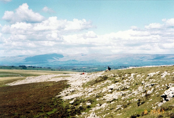 Limestone Pavements of Orton Scar