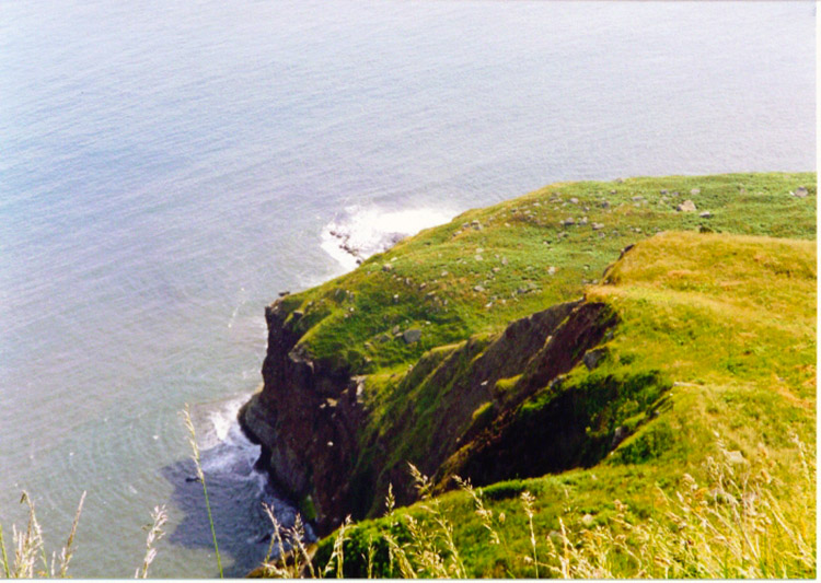 Yorkshire Coast