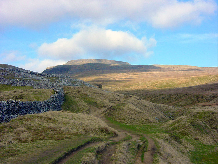 View to Ingleborough from Crina Bottom