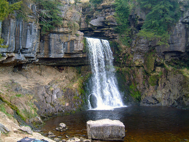 Thornton Force