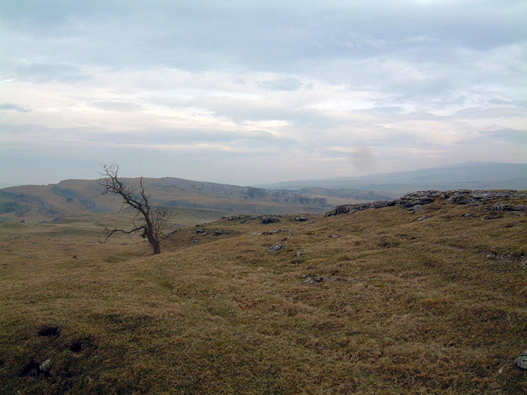 The Dales Way north of Grassington